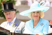 Prince Harry’s Secret King Charles Meeting Came With a Queen Camilla Twist — Source