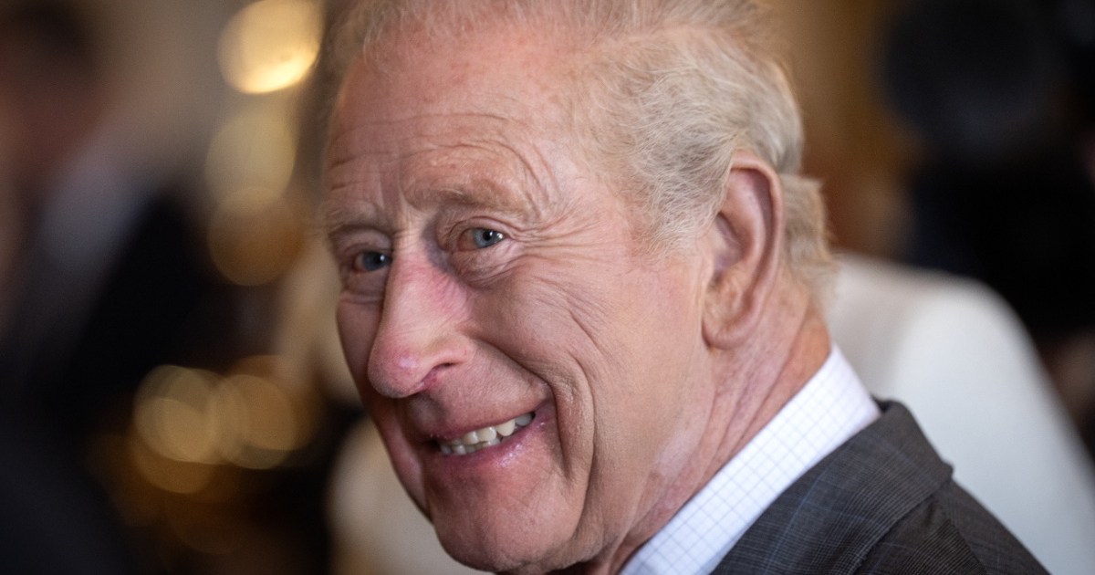 King Charles' Charming Reaction to a 7-Year-Old Girl's Portrait Draws Attention