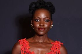 Lupita Nyong’o’s Fully See-Through Dress Has Holes That Graze Her Curves