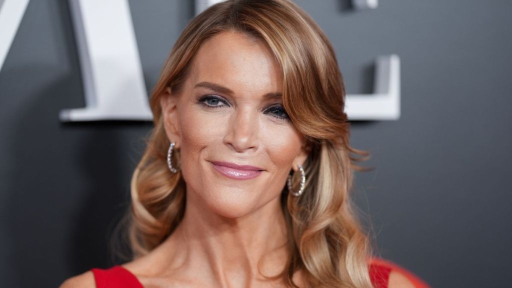 CNN Alum Claps Back at Megyn Kelly Over Brutal Remarks