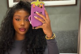 SZA’s Bold Skin-Baring Dress Features a Neckline So Low It Hits Her Waist