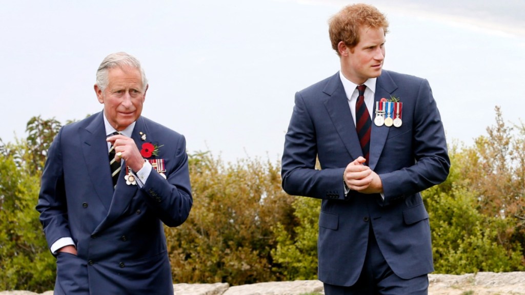 Prince Harry's UK Visit Won't Heal the Royal Rift — Report