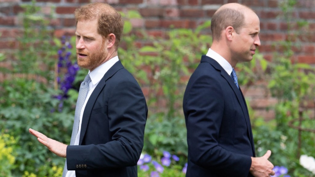 Prince William's Feelings Toward Prince Harry Hit New Low — Expert
