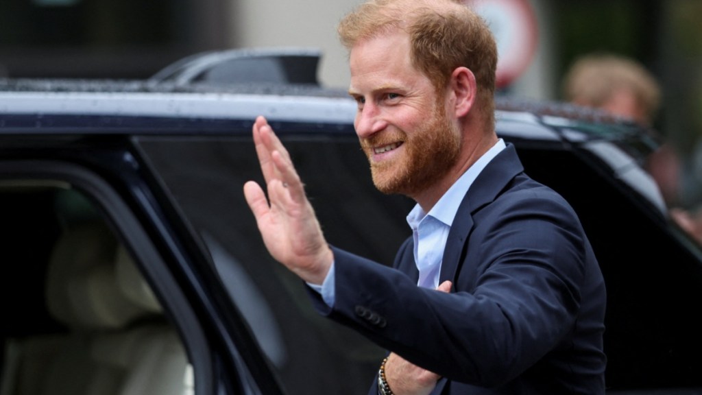 Prince Harry Reacts to Goat Kick to the Groin During Yoga