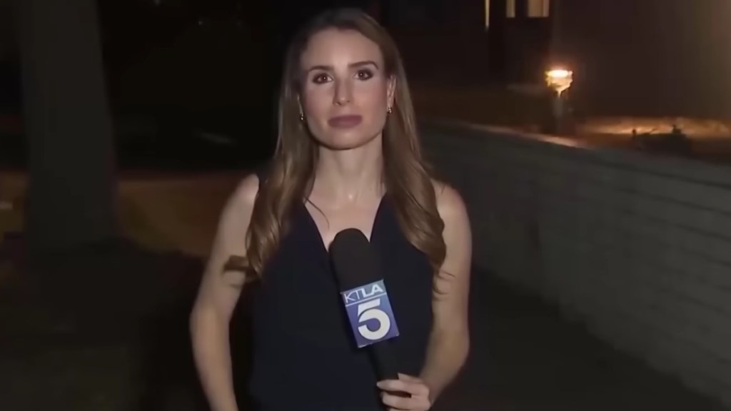 LA Reporter Rachel Menitoff Goes Viral After Cockroach Crawls on Her