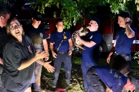 Dog Trapped in Concrete Pipe Gets a Second Chance