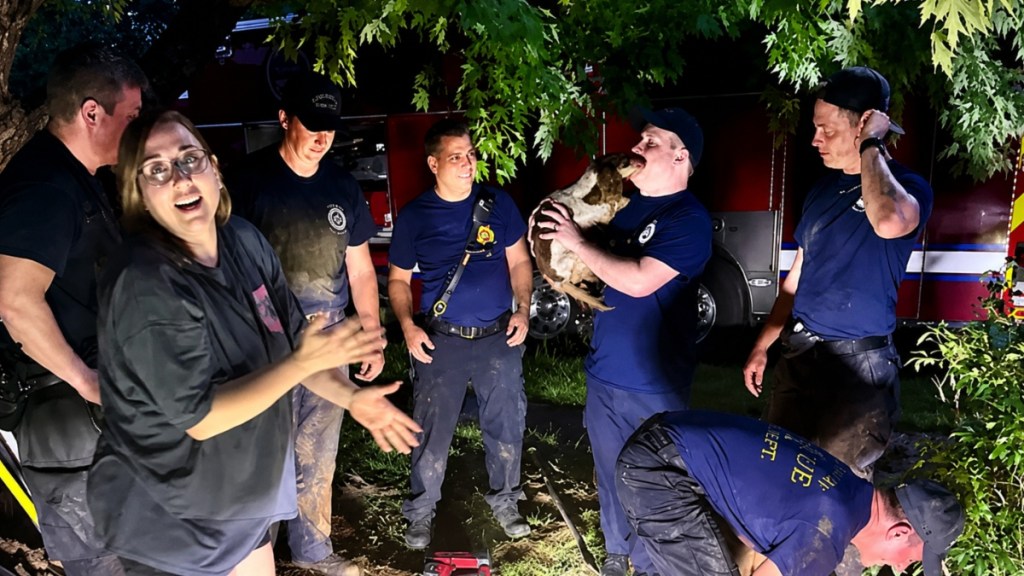 Dog Trapped in Concrete Pipe Gets a Second Chance