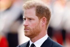 Prince Harry Accused of Overshadowing Princess Anne With This News