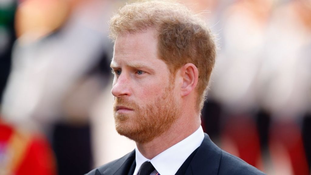 Prince Harry Accused of Overshadowing Princess Anne With This News