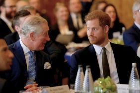 Prince Harry Meghan Markle kids King Charles