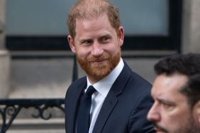 Prince Harry UK trip family security