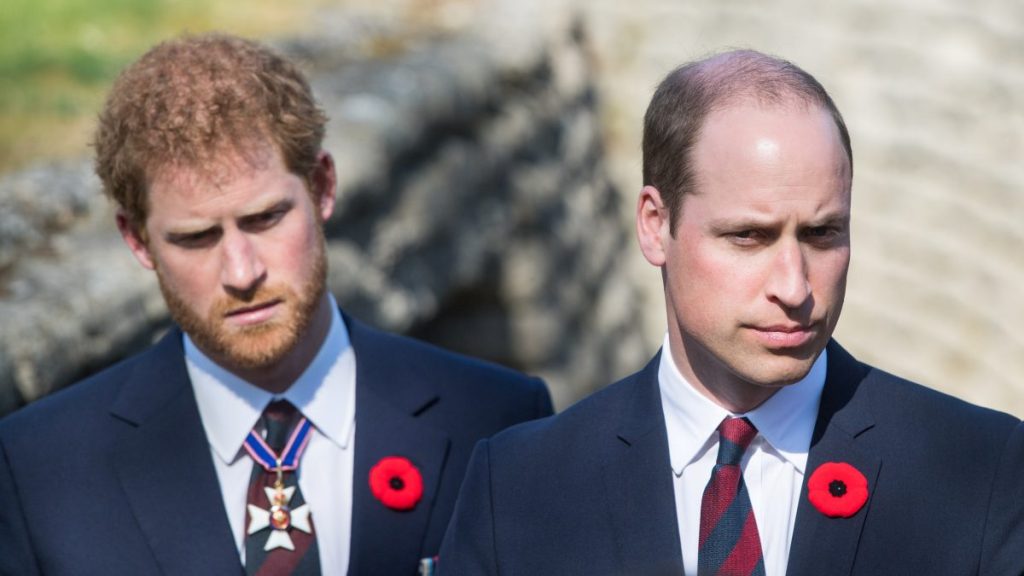 Prince Harry & Prince William's Relationship 'Is the Worst It's Ever Been' — Expert