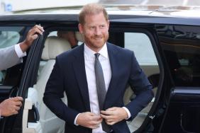 Prince Harry's Princess Diana Plan Raises Eyebrows — Source