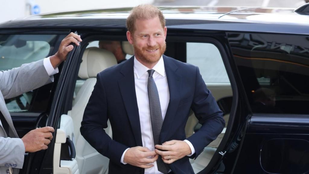 Prince Harry's Princess Diana Plan Raises Eyebrows — Source