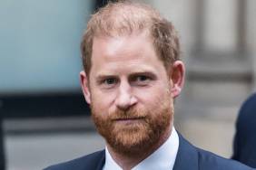 Prince Harry Reacts to Daily Mail Privacy Lawsuit Loss — Report