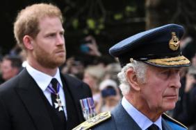 Prince Harry’s Push for a King Charles Reunion Hits a New Twist — Report