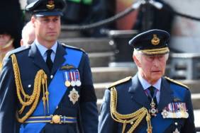 Prince Harry Knows King Charles-Prince William Rift Is His Leverage — Insider
