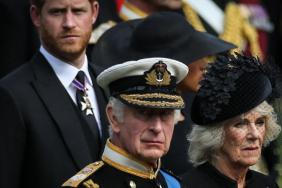 Queen Camilla’s Suspicion About Prince Harry & King Charles’ Talks Raises Eyebrows — Insider