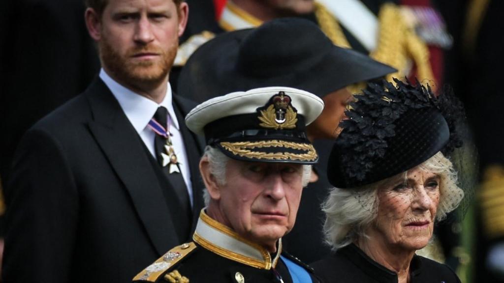Queen Camilla’s Suspicion About Prince Harry & King Charles’ Talks Raises Eyebrows — Insider