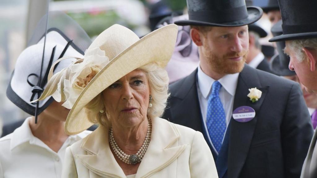 Prince Harry & Queen Camilla’s Near Encounter During UK Visit Revealed