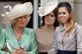 Prince Harry’s Closest Royal Allies Are Frozen Out by Queen Camilla — Source