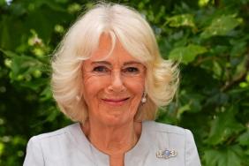 Prince Harry’s Royal Reunion Shows Why Queen Camilla Cannot Be Ignored — Source