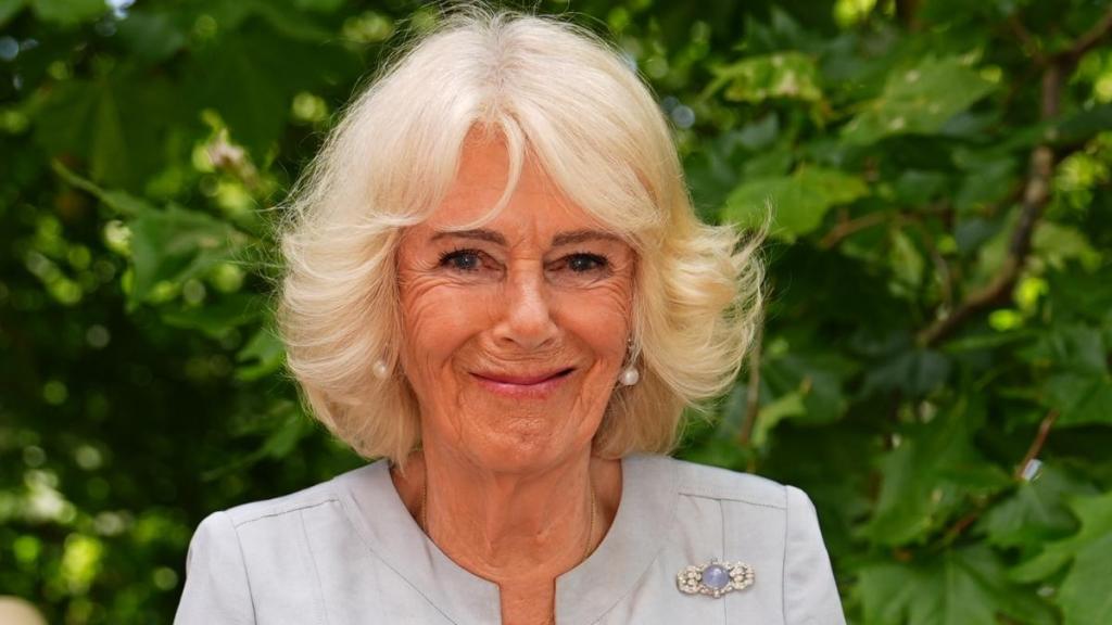 Prince Harry’s Royal Reunion Shows Why Queen Camilla Cannot Be Ignored — Source