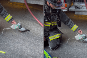 oakland firefighters