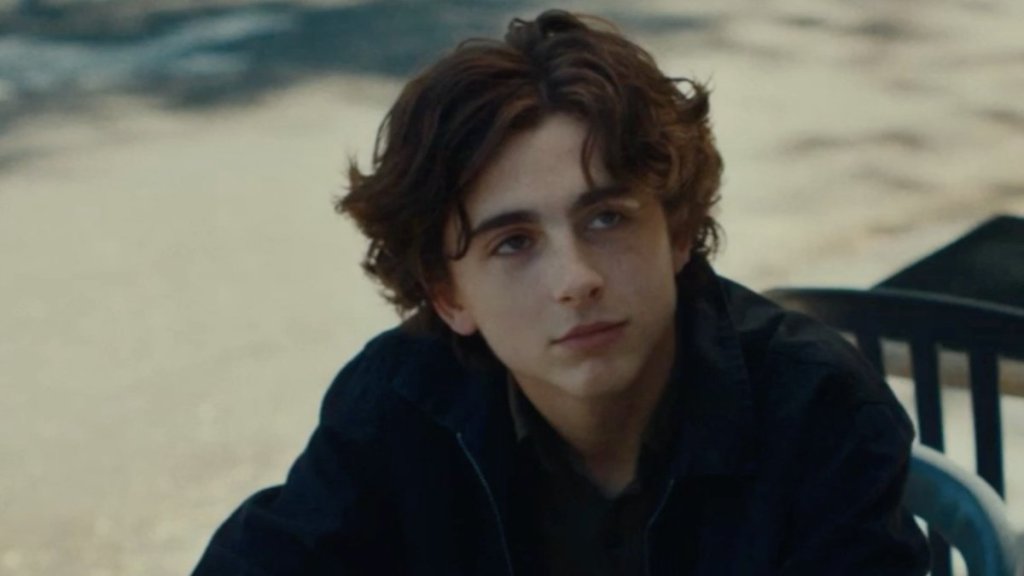 Timothée Chalamet Movie With 99% RT Score Joins Hulu Today