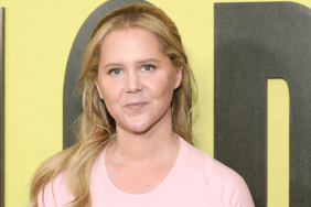 Amy Schumer Shows Off Slim Figure After Candid Weight Loss Journey