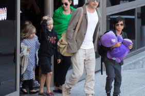 Angelina Jolie Has One Priority as More Kids Drop Brad Pitt's Last Name — Source