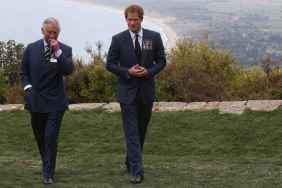 Prince Harry Has Just One Way to Make Amends With King Charles — Insider