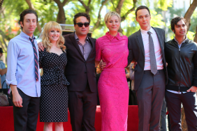 Big Bang Theory Star Reveals the Steep Personal Price of Fame