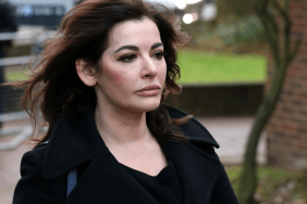 Nigella Lawson Reportedly Not Impressed With Paul Hollywood's Helicopter Commute