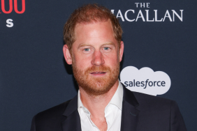 Prince Harry's Old Remark About Blonde Model Comes Back to Haunt Him