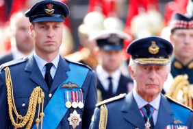 King Charles Has One Brutal Word for Prince William's Reaction — Report