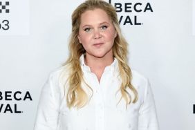 Taylor Swift's Wedding Headlines Prompt Bitter Amy Schumer Joke