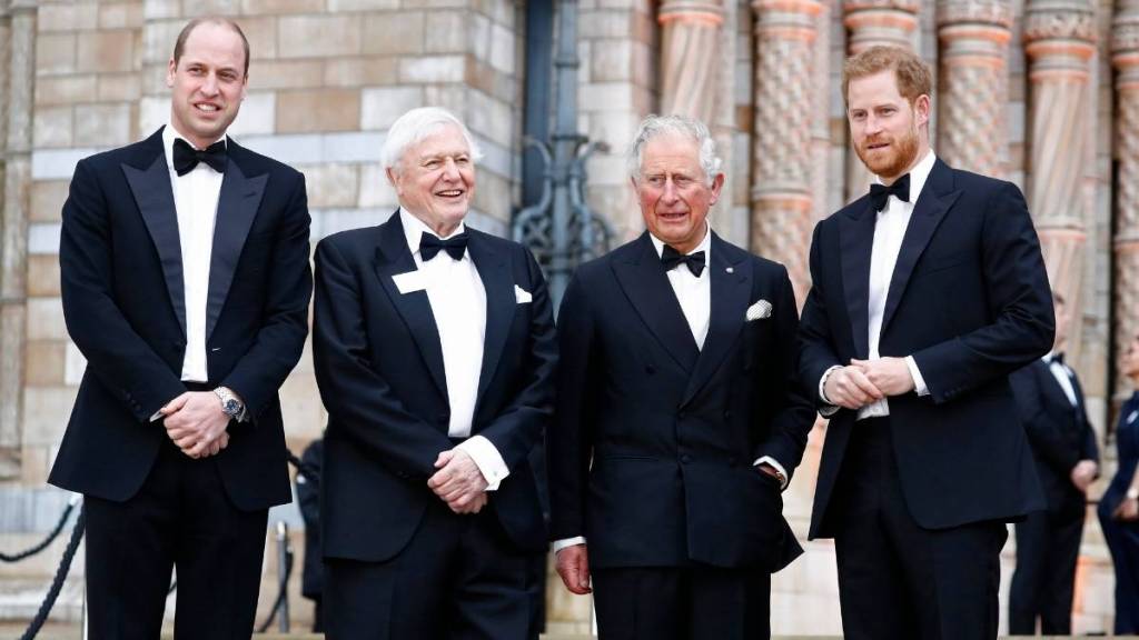 Prince Harry's Buckingham Palace Snub Gets Worse — Source