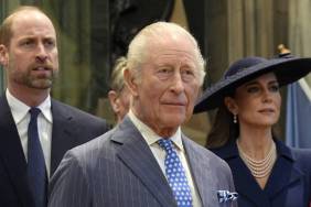 Prince William & King Charles Are Not Themselves During Palace Meetings — Source
