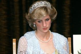Princess Diana Would Have Been 'Deeply Disappointed' by Prince Harry's Media Fight — Source