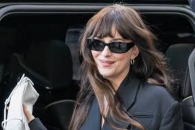Dakota Johnson's Voice Steals the Spotlight on Role Model's New Track