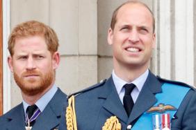 Prince William Faces One Princess Diana Battle He Can't Win — Report