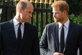 Prince Harry’s Mention of William on UK Trip Not an ‘Overnight’ Relationship Fix — Source