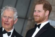 Prince Harry's Relationship With King Charles Is 'Standing Still' After UK Visit — Source