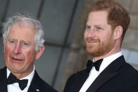 Prince Harry's Relationship With King Charles Is 'Standing Still' After UK Visit — Source