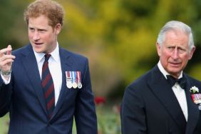 Prince Harry & King Charles' Reunion Changed Something but Not Everything — Palace Insider