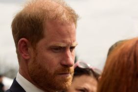 Prince Harry Wants ‘Royal Treatment’, but Palace Thinks Otherwise — Source