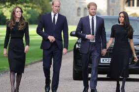 Meghan Markle Believes Prince Harry's Family Is 'Out to Poison' Things — Insider