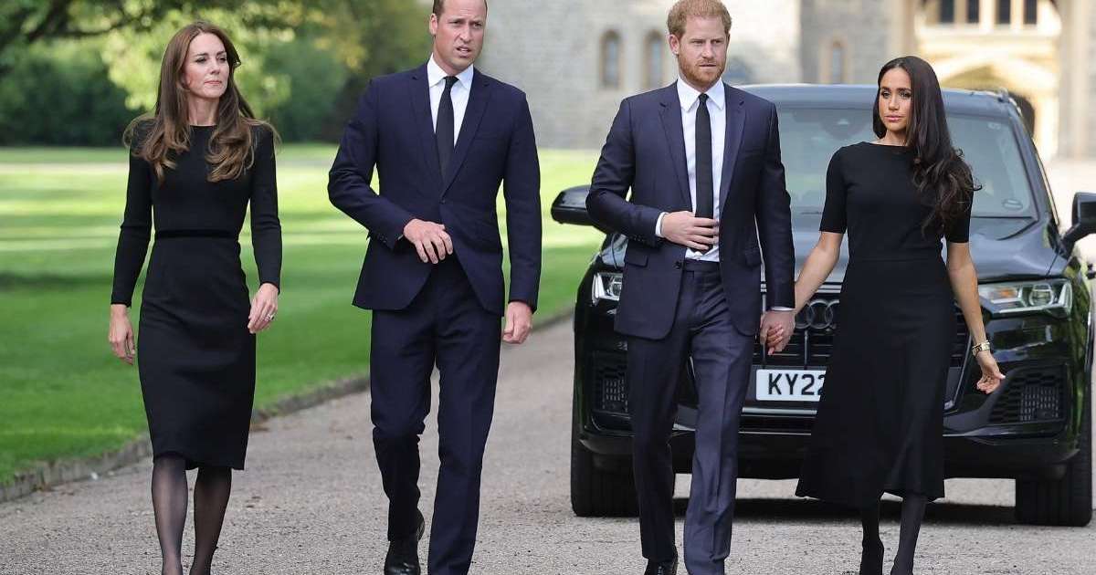 Meghan Markle Believes Prince Harry's Family Is 'Out to Poison' Things -- Insider
