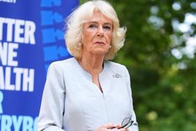 Queen Camilla Is Convinced Prince Harry Could ‘Turn on the Family Again’ — Insider